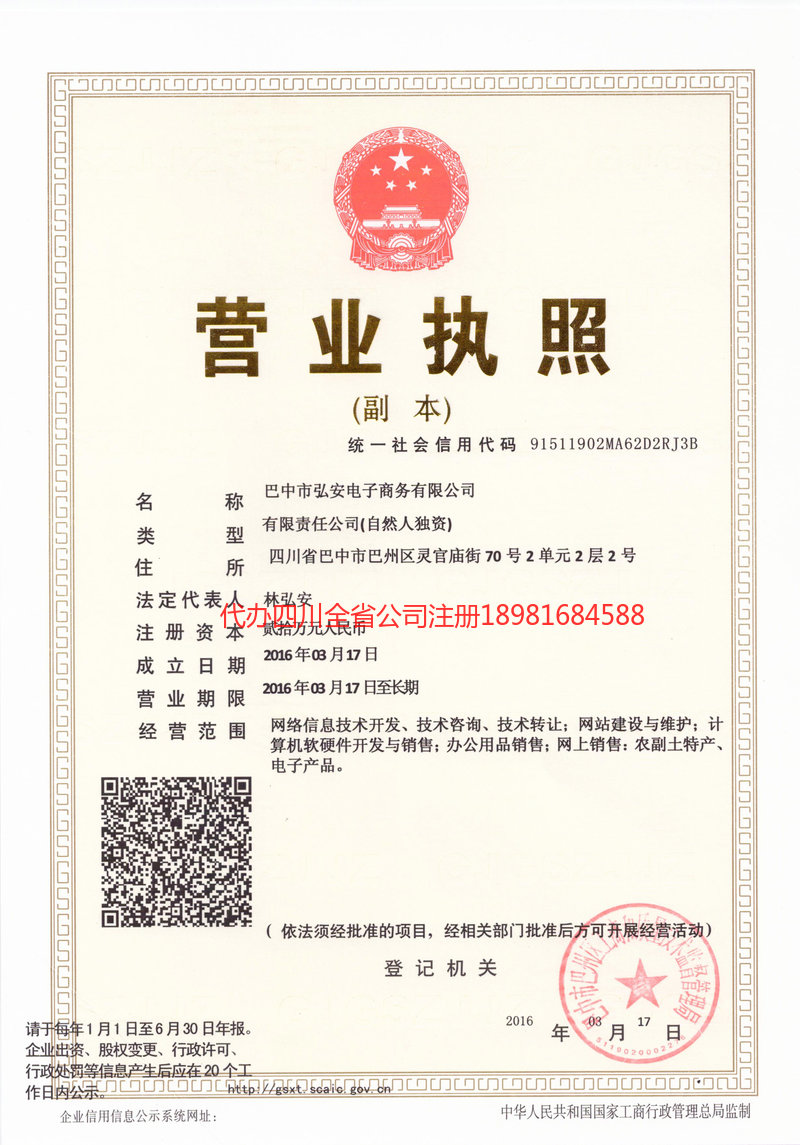 泸州市泸州市宏安电子商务有限公司
